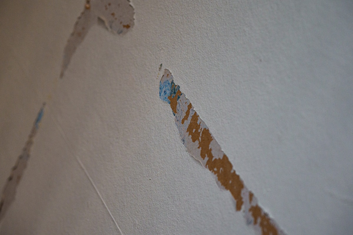 Mold Remediation service in Elgin, IL